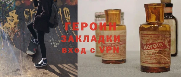 гидра Инта