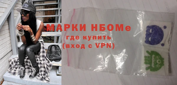индика Инсар