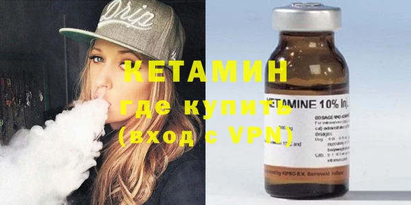 индика Инсар