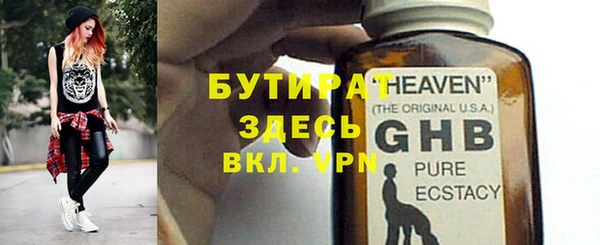 гидра Инта