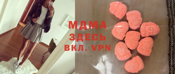 индика Инсар