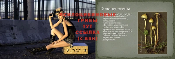 индика Инсар
