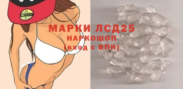 индика Инсар