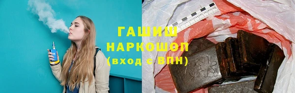 индика Инсар