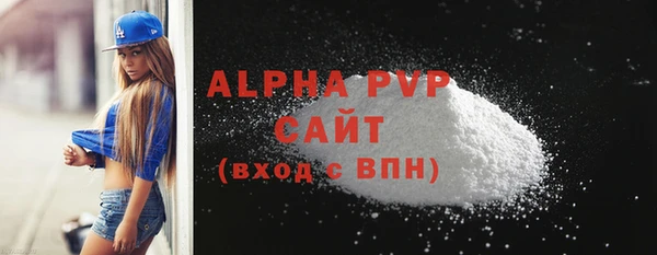 гидра Инта