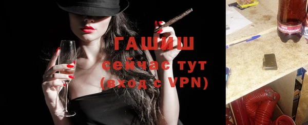 гидра Инта