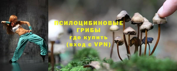индика Инсар