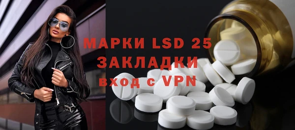 гидра Инта