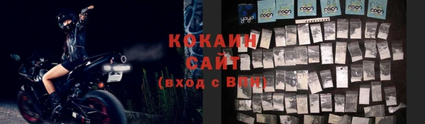 гидра Инта
