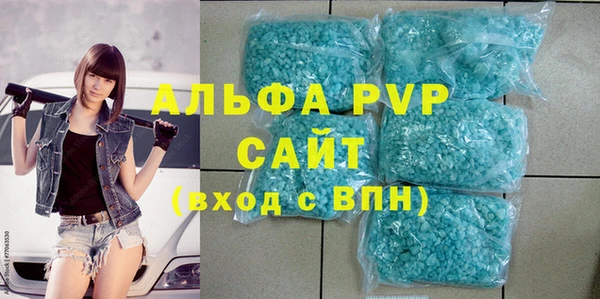 индика Инсар