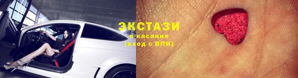 индика Инсар
