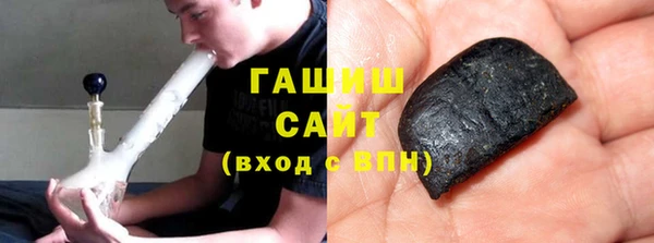 гидра Инта