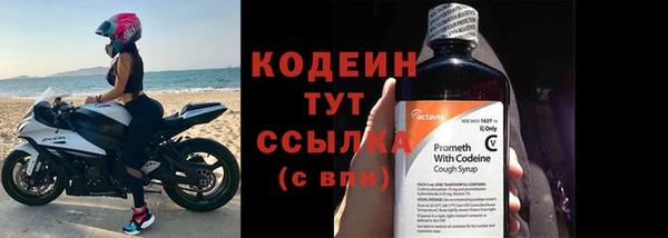 гидра Инта