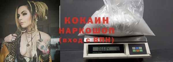 гидра Инта