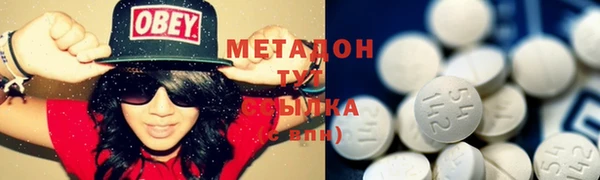 гидра Инта