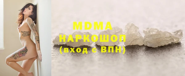 гидра Инта