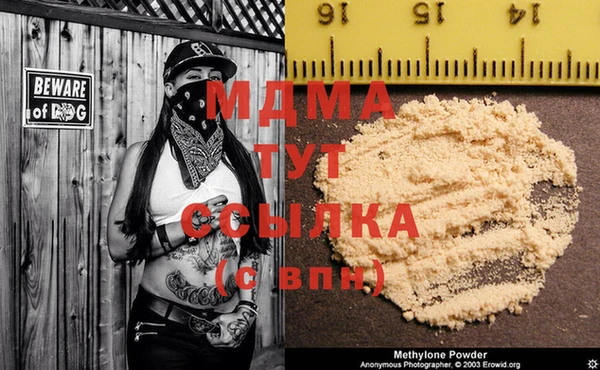 индика Инсар