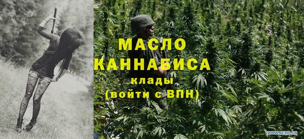 индика Инсар
