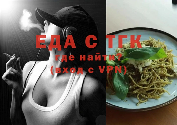 гидра Инта