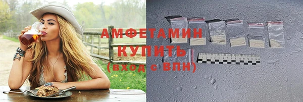 индика Инсар