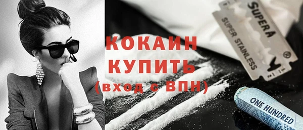гидра Инта