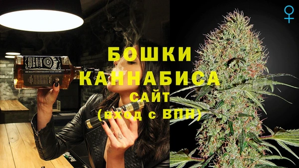 гидра Инта