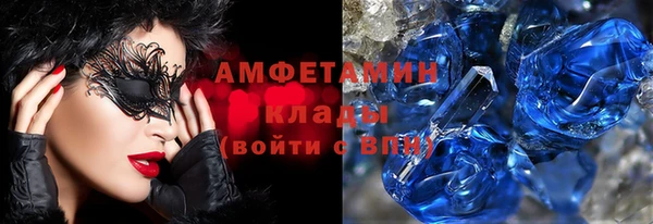 индика Инсар