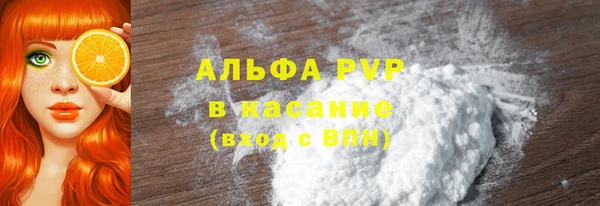 индика Инсар