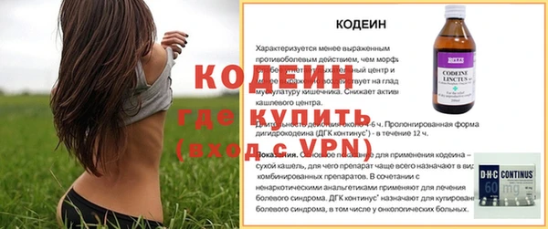 индика Инсар