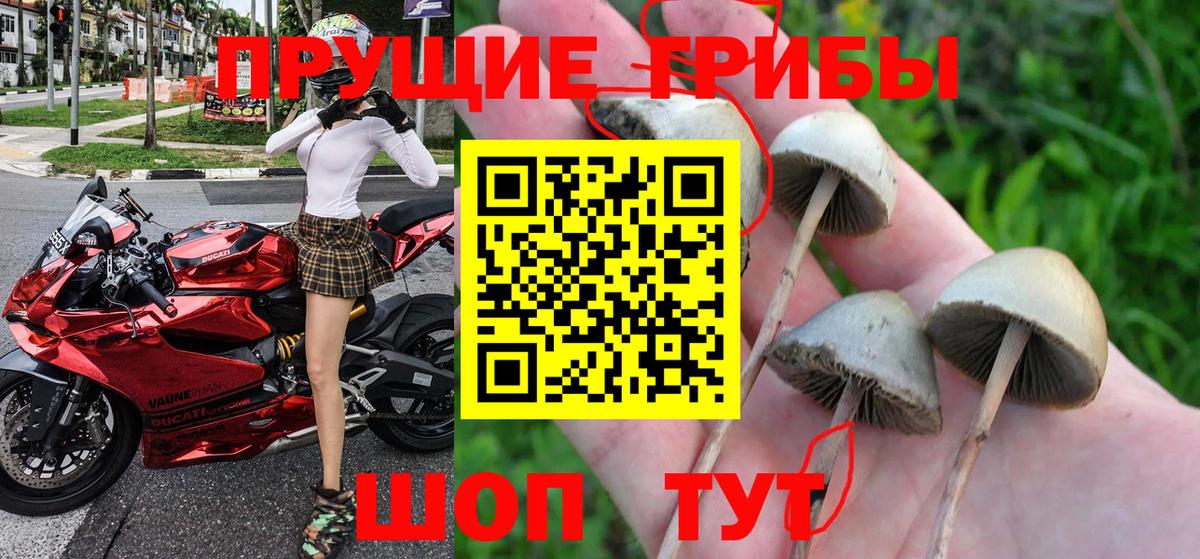 Галлюциногенные грибы Cubensis  Галлюциногенные грибы GOLDEN TEACHER  Вход с VPN  Нижний Новгород 