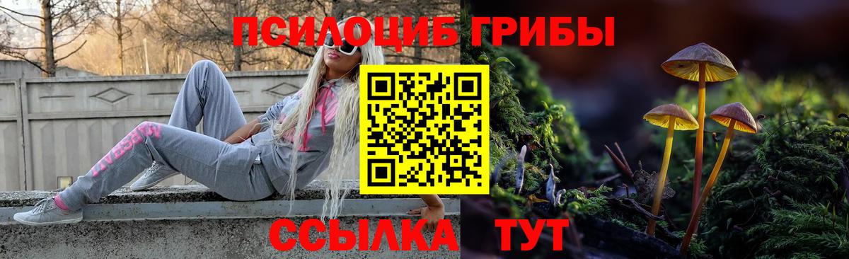 Псилоцибиновые грибы Cubensis Нижний Новгород