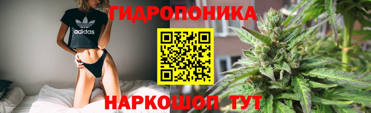 Бошки Шишки сатива Нижний Новгород